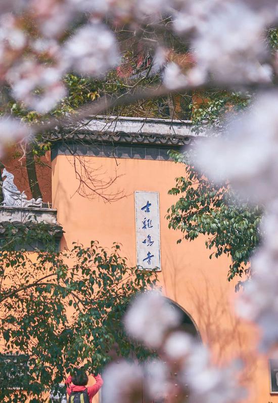 邓兆桃的最新动态，自然美景之旅，探寻内心平和的旅程