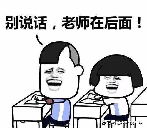 最新骂人的话，语言暴力的反思与探讨