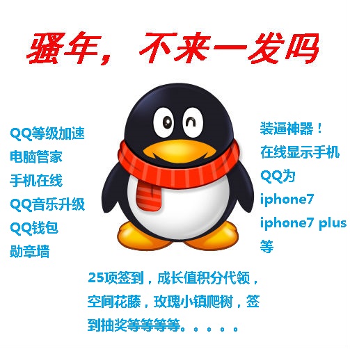最新qqip代理,最新QQIP代理，科普与应用探讨
