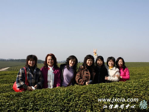 最新图片新闻，拥抱自然，心灵之旅的奇妙探寻
