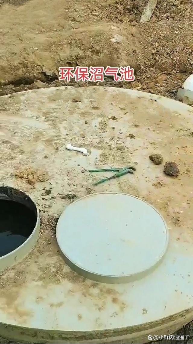 小巷中的绿色能量宝藏，最新沼气池探秘