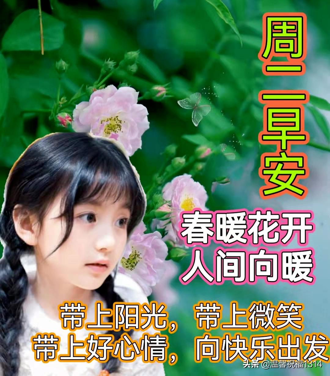 爱丝最新视频，温馨日常的快乐时光