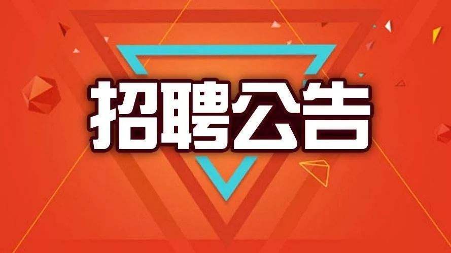红河最新招聘，深度解析与观点论述
