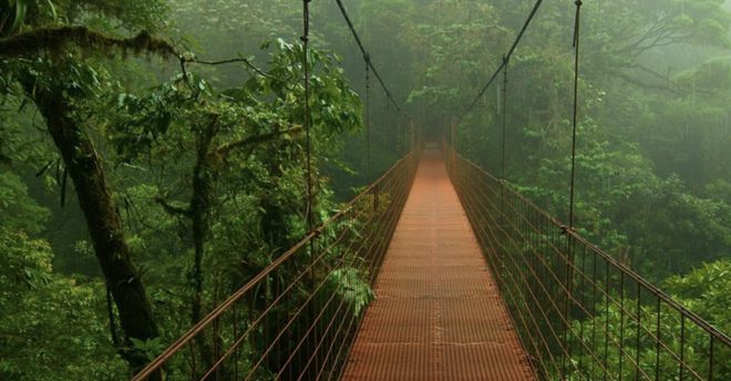 海湾雨林最新房价探索，自然美景之旅与内心宁静的追求