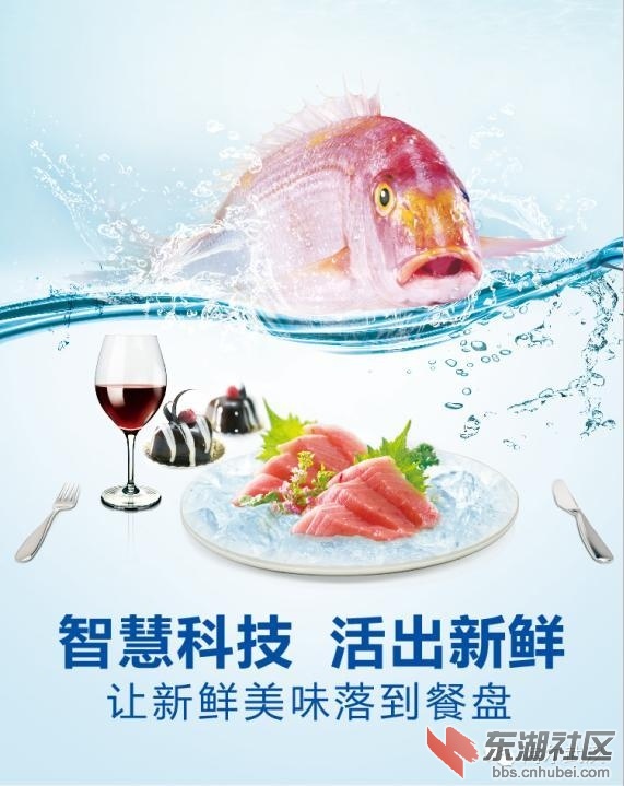 石家庄最新鱼讯引领科技潮流，开启智能生活新纪元