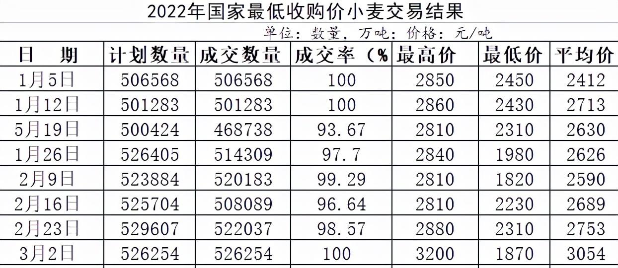 运城小麦情缘，最新行情与日常故事交织的温情篇章