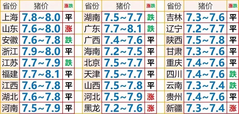 今日苗猪价格揭秘，最新行情大放送！