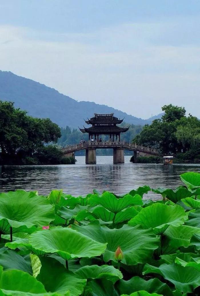 西子航空最新招聘，小巷中的隐藏宝藏，探索无限机遇！