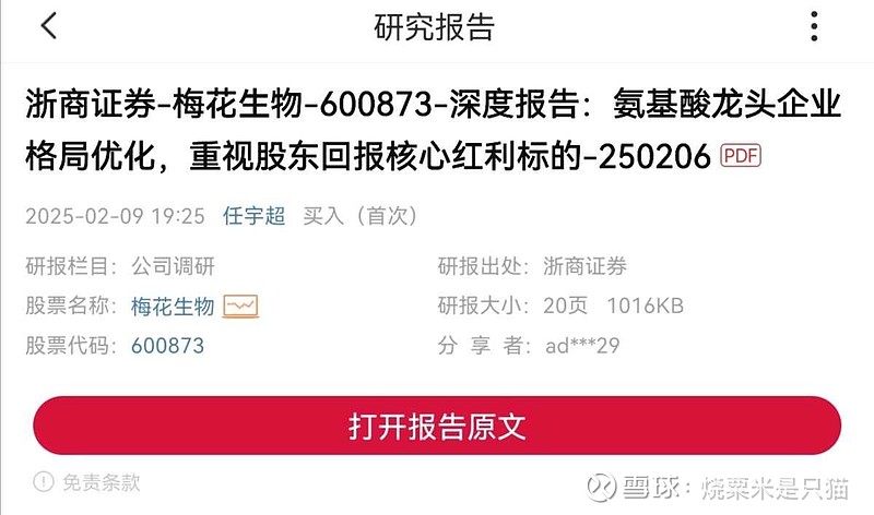 梅花生物最新公告深度解读与分析