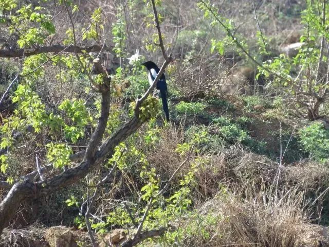 沂源最新动态，自然美景探索之旅，寻觅内心平和与宁静