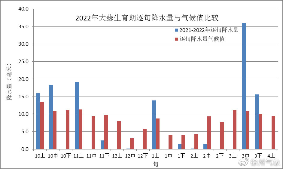 徐州大蒜价格实时更新及最新行情