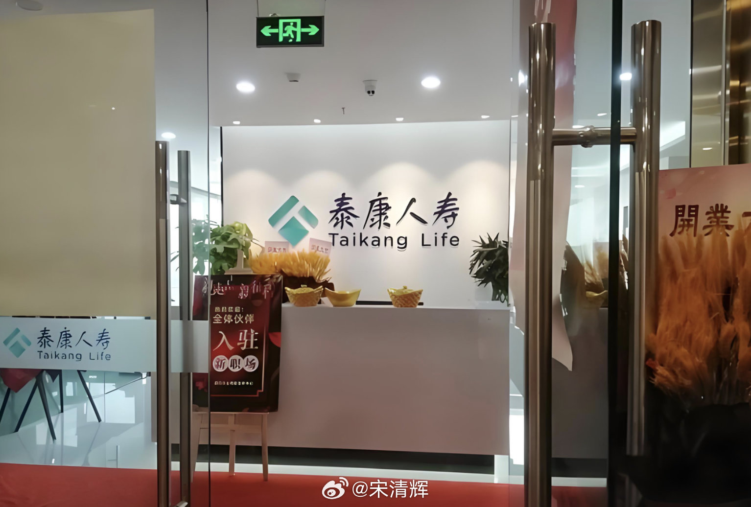 泰康人寿最新动态，全面指南与任务完成教程