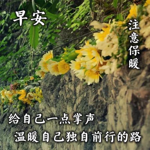 早安问候语句，小巷深处的独特邂逅