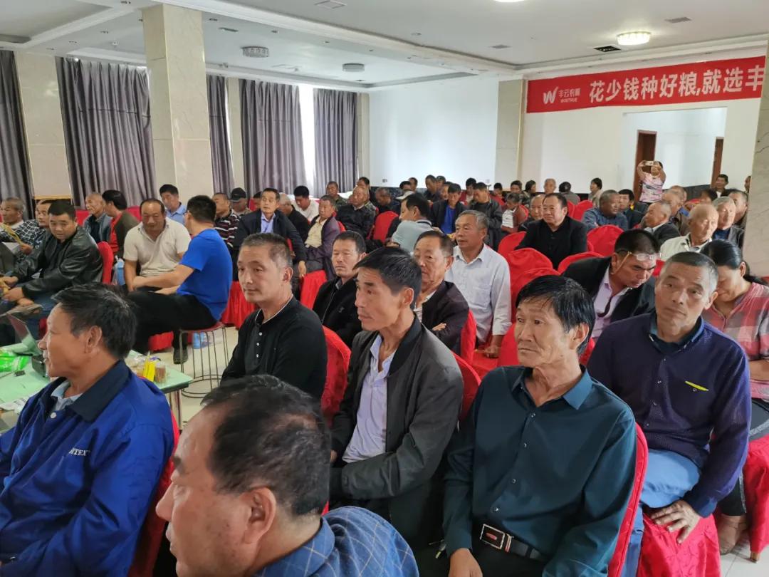 全国小麦价格最新行情，探索内心平静的自然之旅