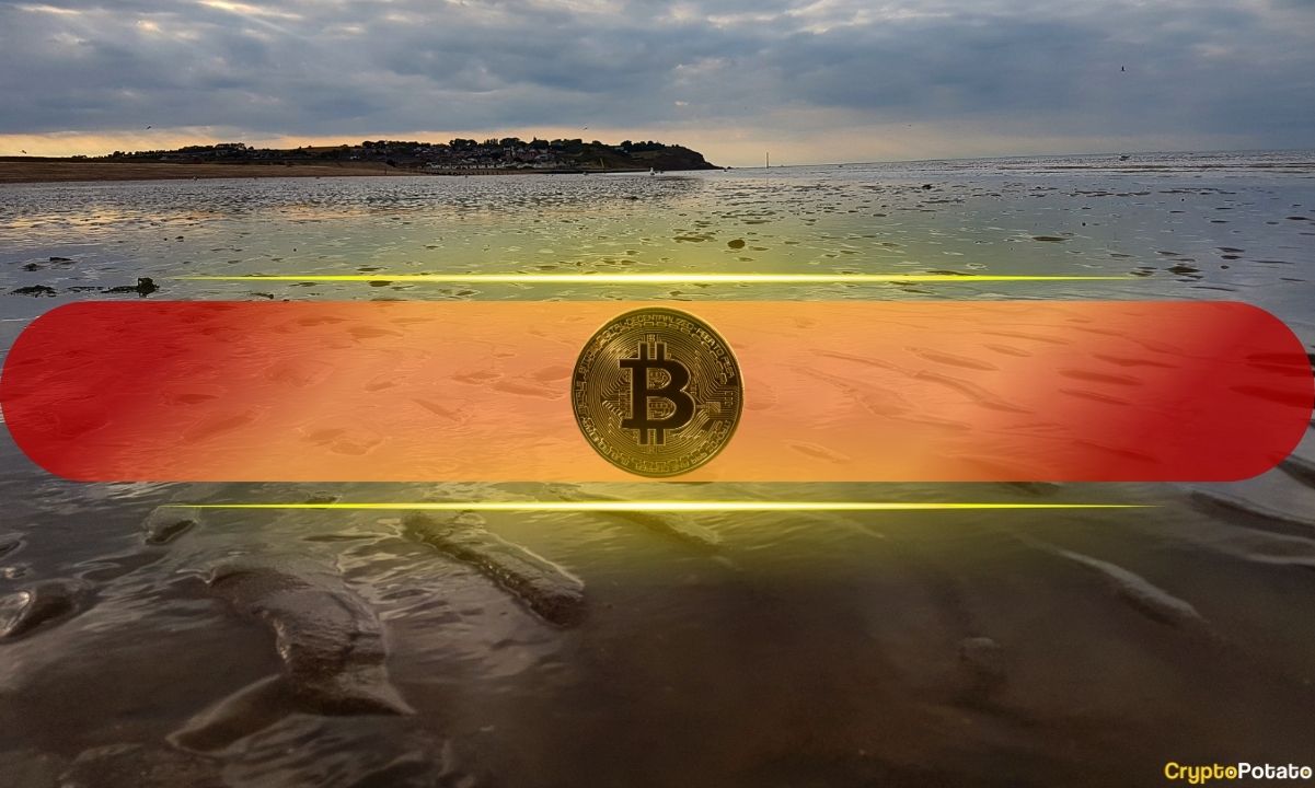 HC币最新动态，自然美景之旅的邀请
