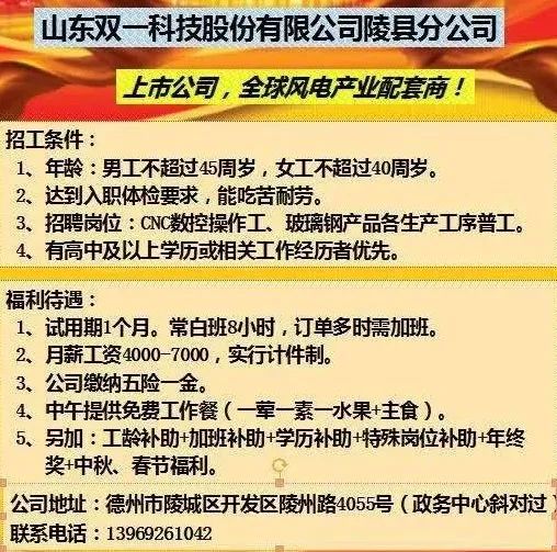 文登最新三天招聘信息全面更新揭秘！