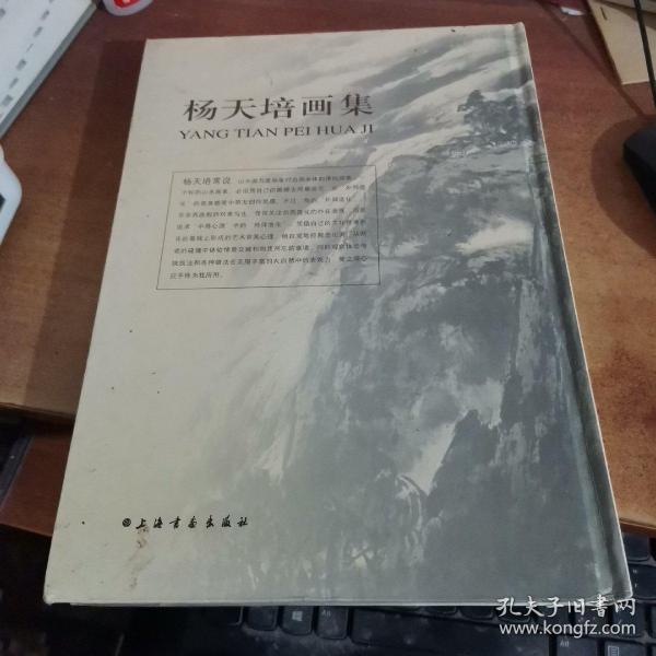 杨天夫最新动态，变化中的力量，励志旅程继续前行
