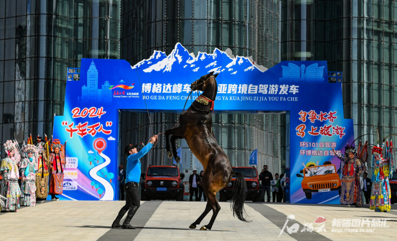 城市马儿与友情的奇遇，马透之窗最新消息揭秘